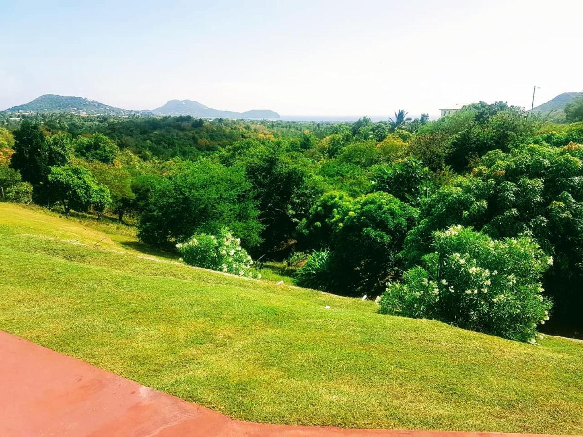 Sunny Palm Villas Laborie 外观 照片